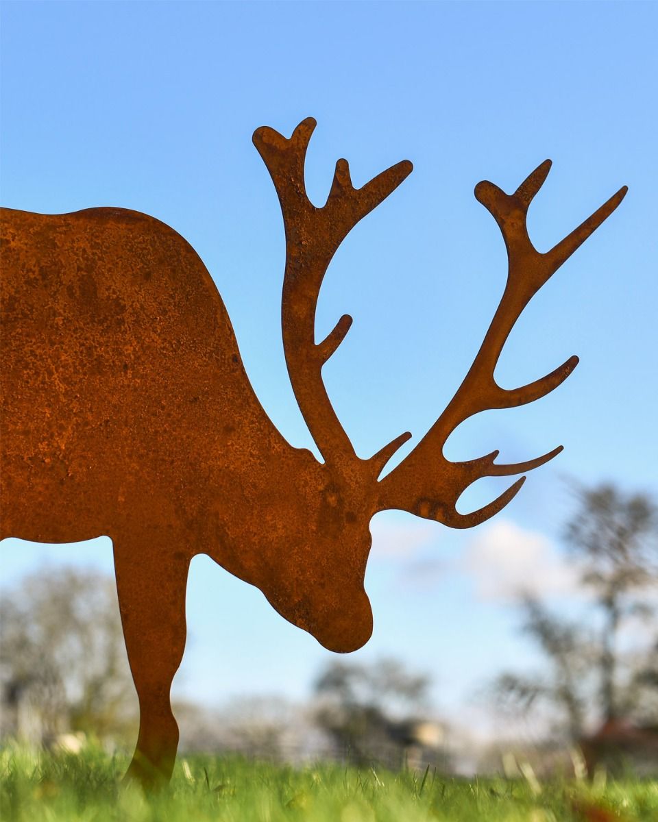 Close up Of Rustic Stag Close up Of Rustic Stag