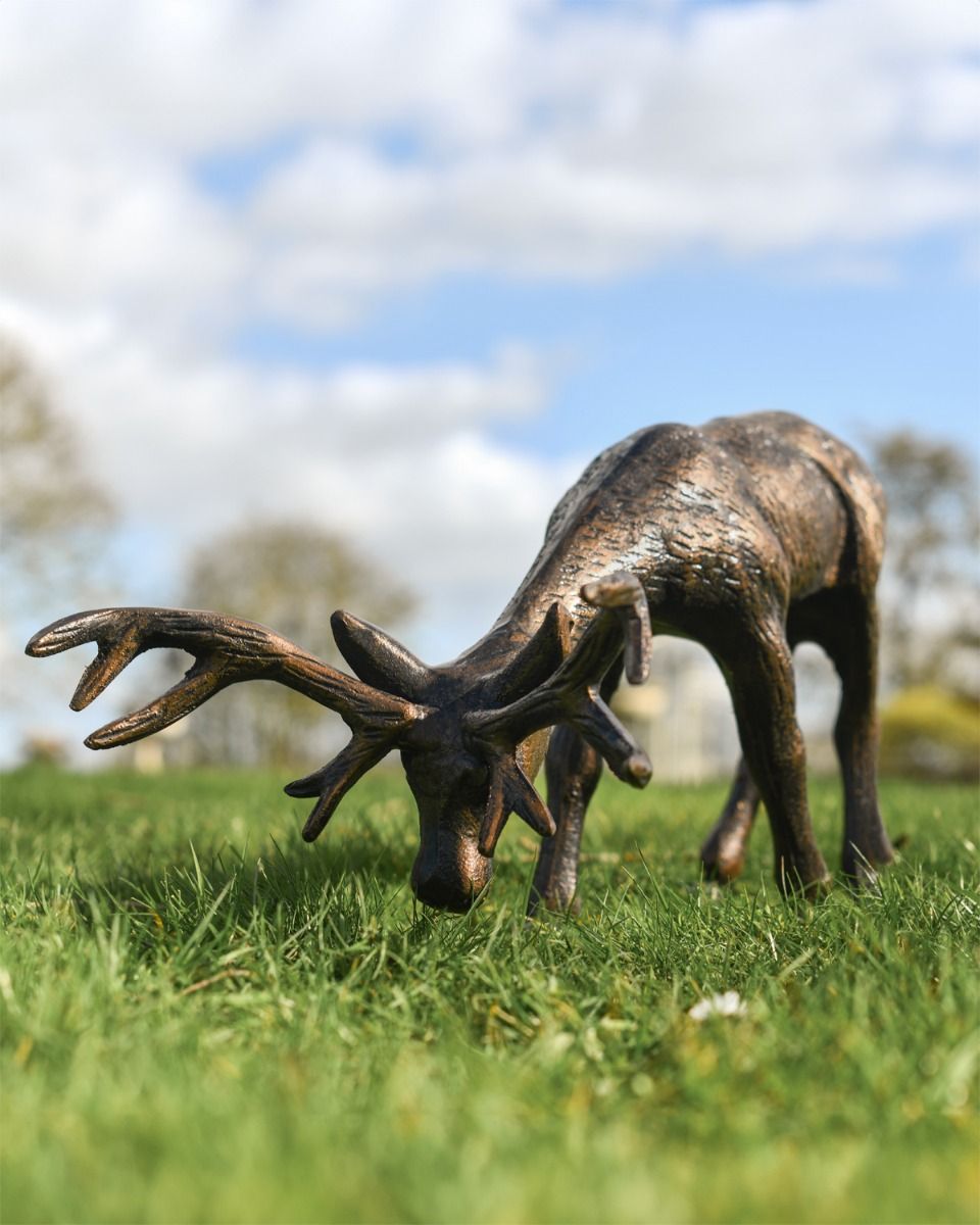 "Oliver" Grazing Stag Garden Sculpture
