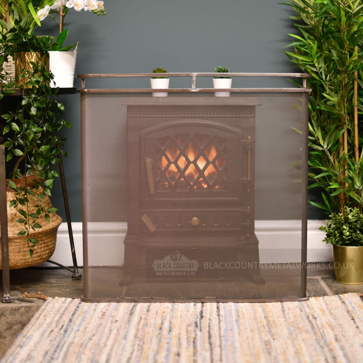 Stainless Steel FireGuard with Double Rail