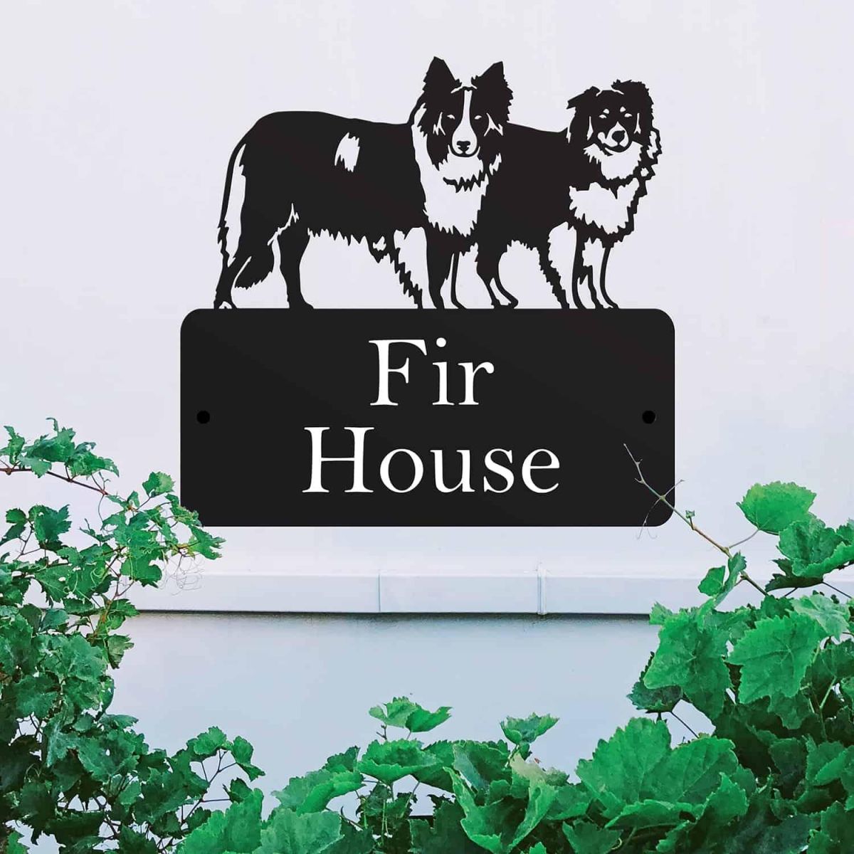 Steel "Pair of Border Collies" Dog House Name Sign in Situ