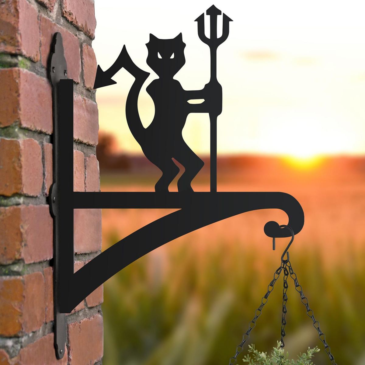 Steel "Red Devils" Hanging Basket Bracket in Situ Steel "Red Devils" Hanging Basket Bracket in Situ