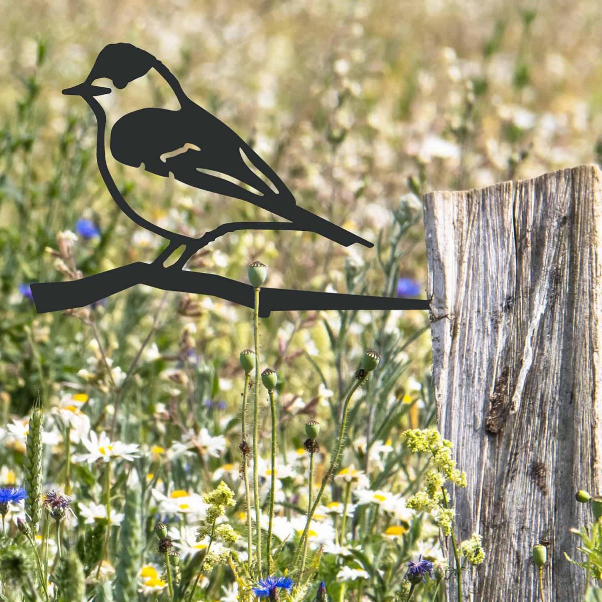 Black Steel Blackcap Tree Spike in Situ