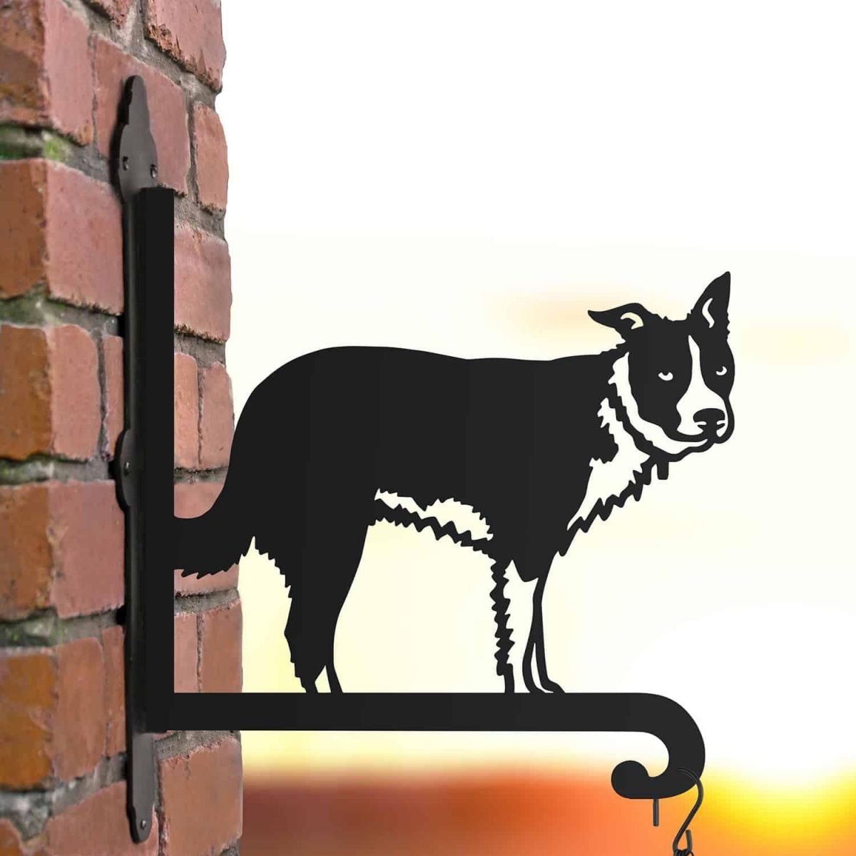 Steel Border Collie Hanging Basket Bracket in Situ
