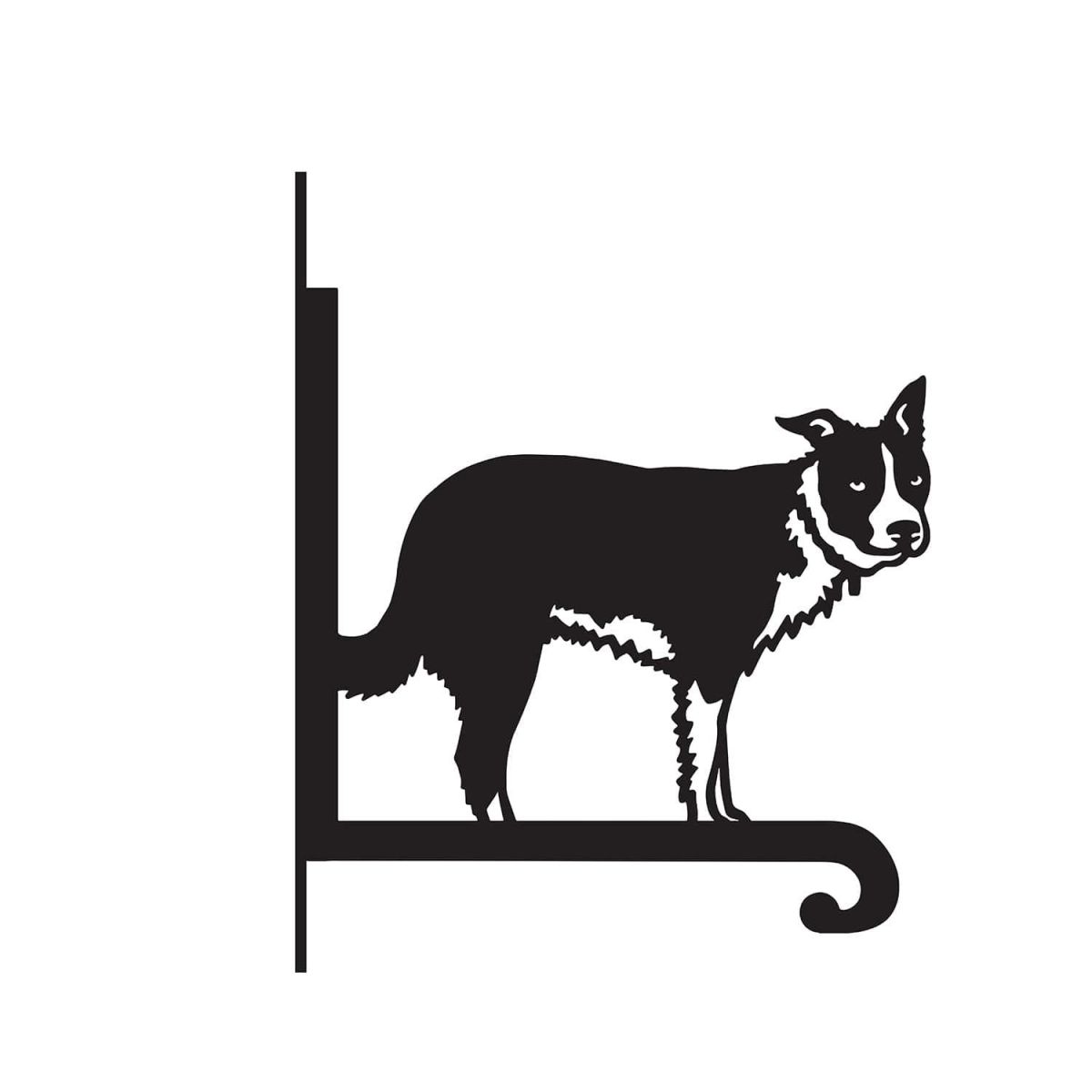 Close-Up of Steel Border Collie Hanging Basket Bracket