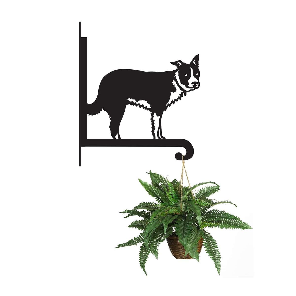 Steel Border Collie Hanging Basket Bracket with Planter