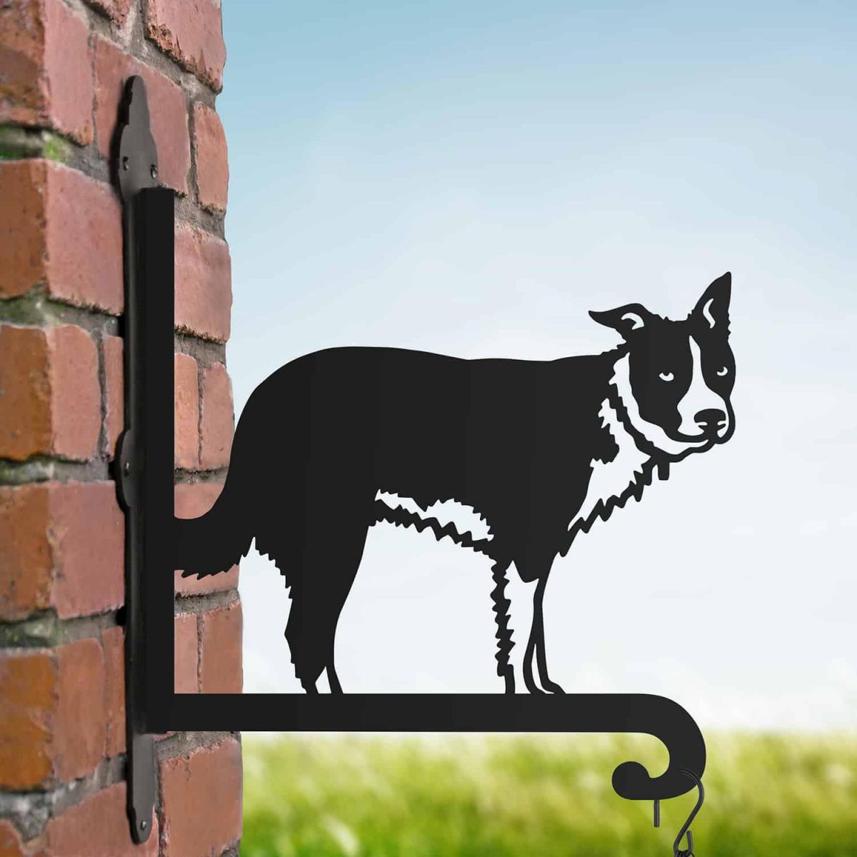 Steel Hanging Basket Bracket with Border Collie Motif