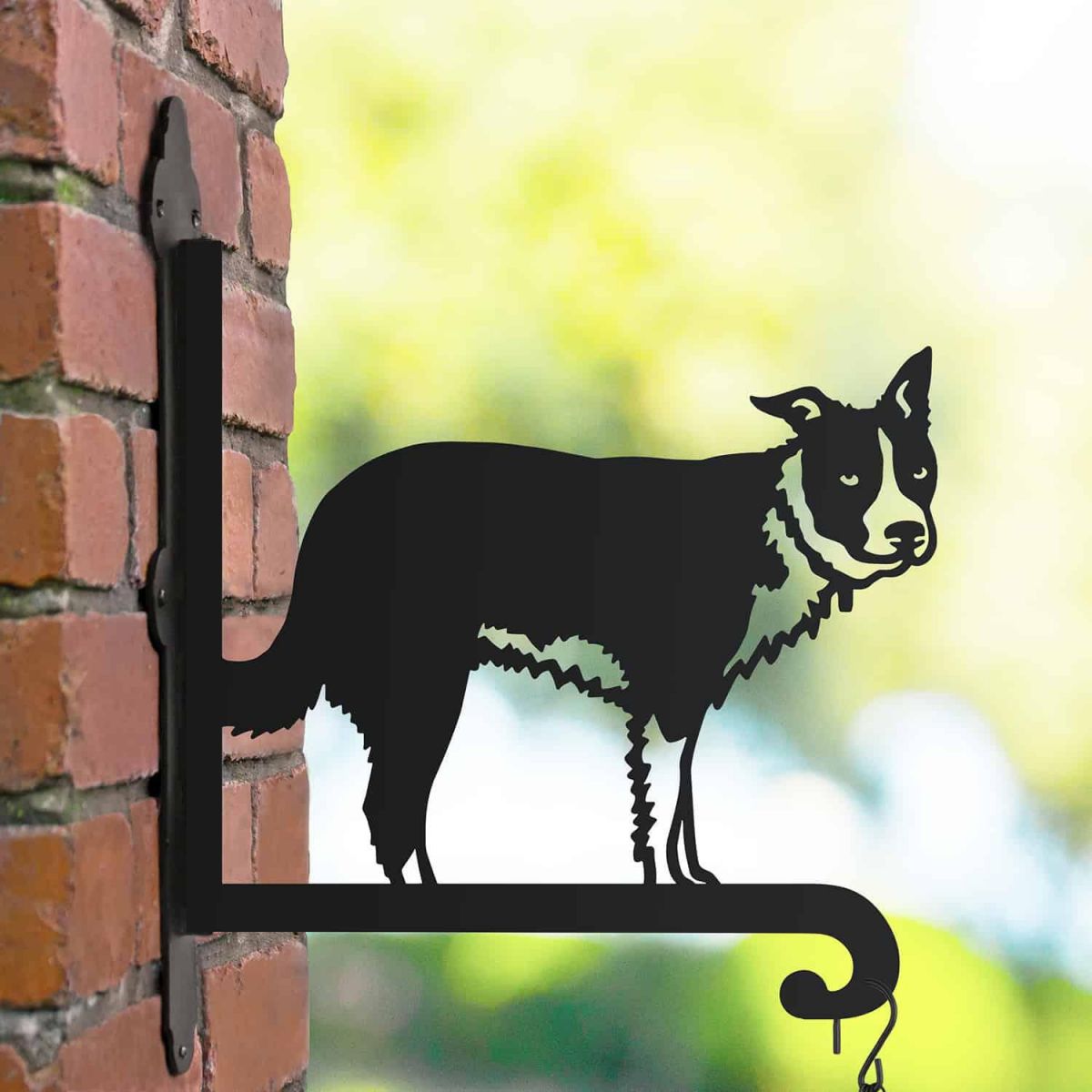 Steel Hanging Basket Bracket with Border Collie Topper