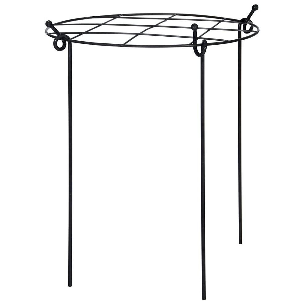 Grate Plant Support Created From Steel Grate Plant Support Created From Steel