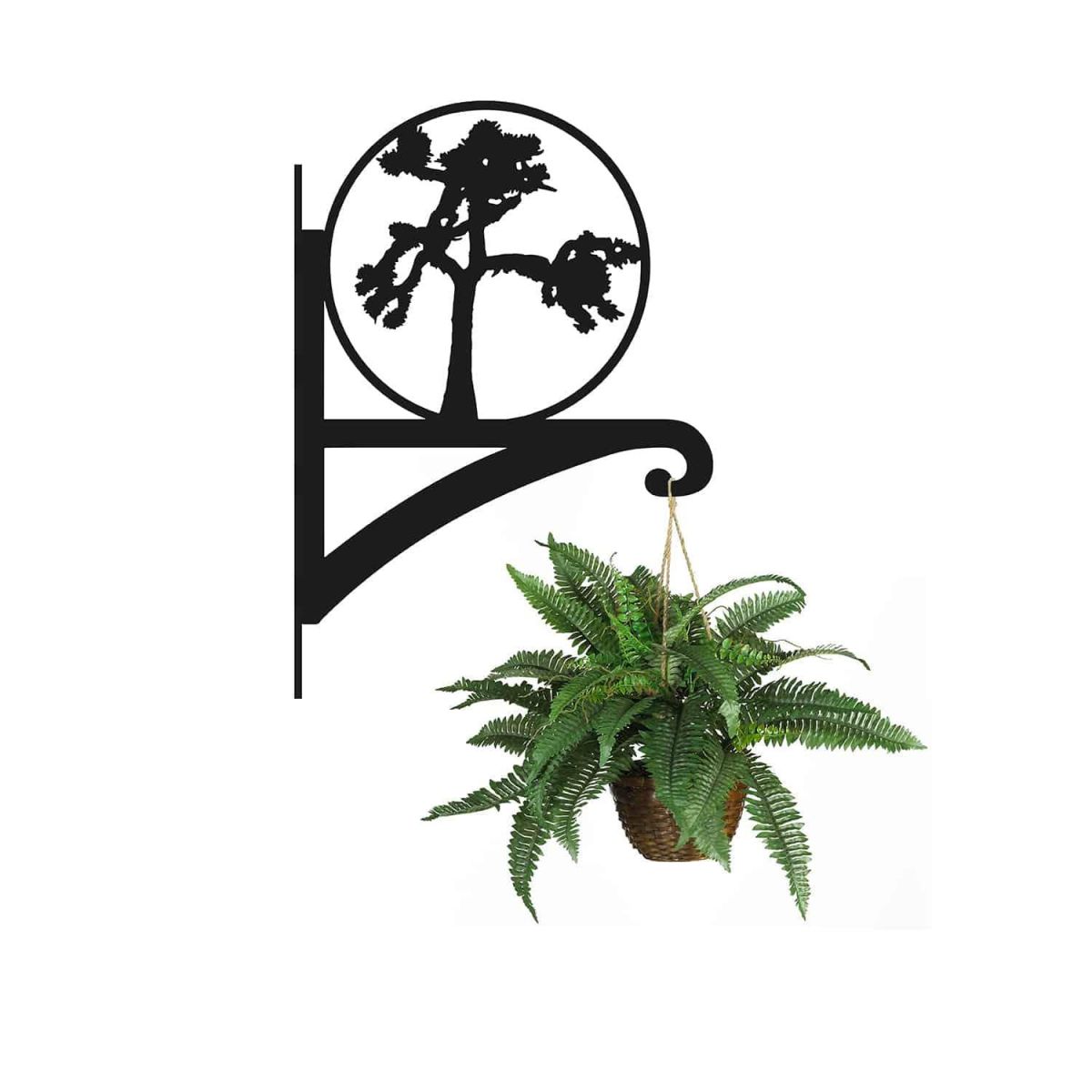 Steel Joshua Tree Hanging Basket Bracket with Planter