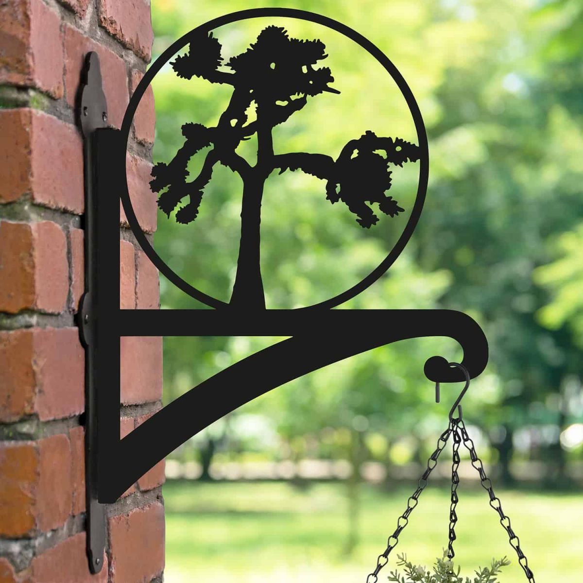 Steel Hanging Basket Bracket with Joshua Tree Motif