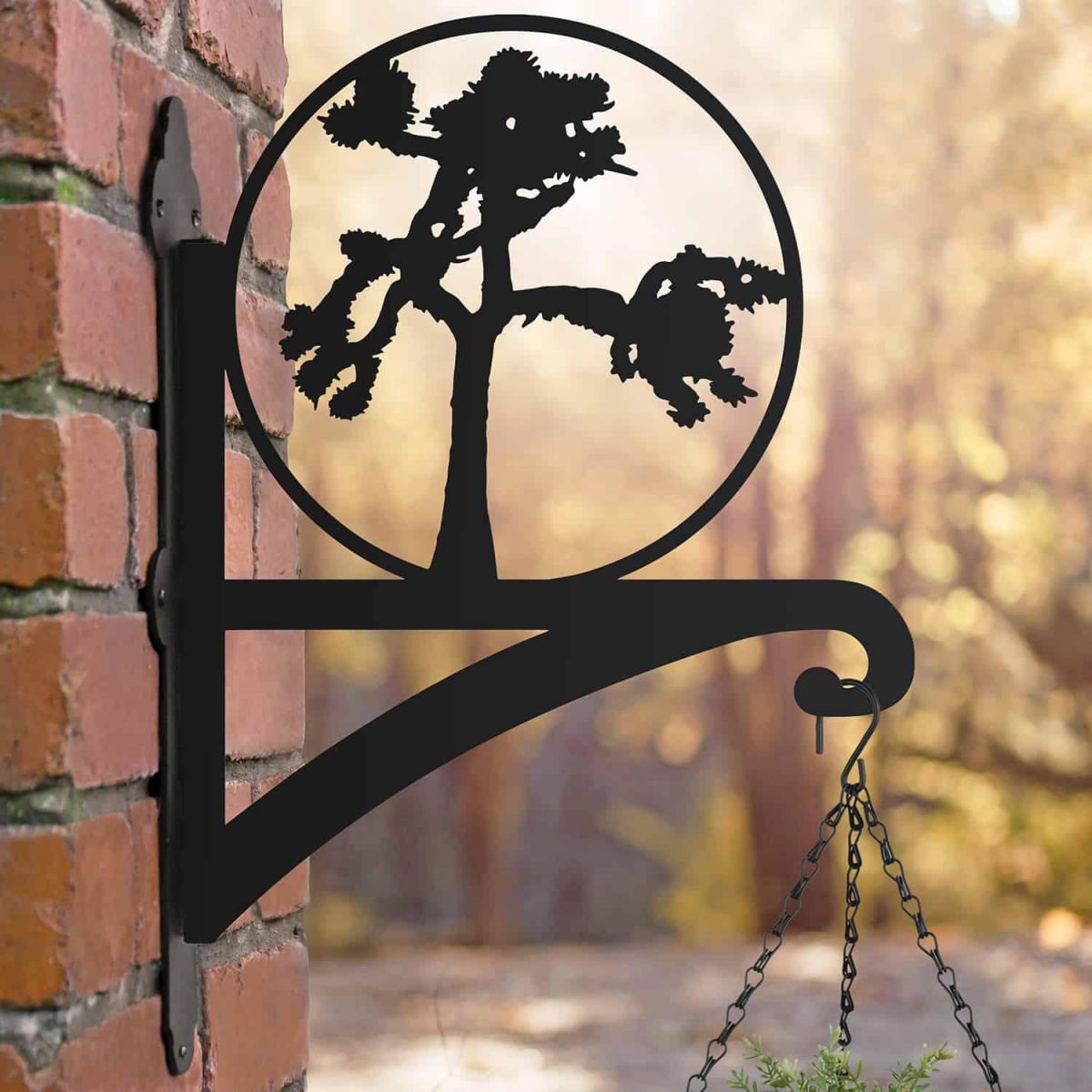 Steel Hanging Basket Bracket with Joshua Tree Topper