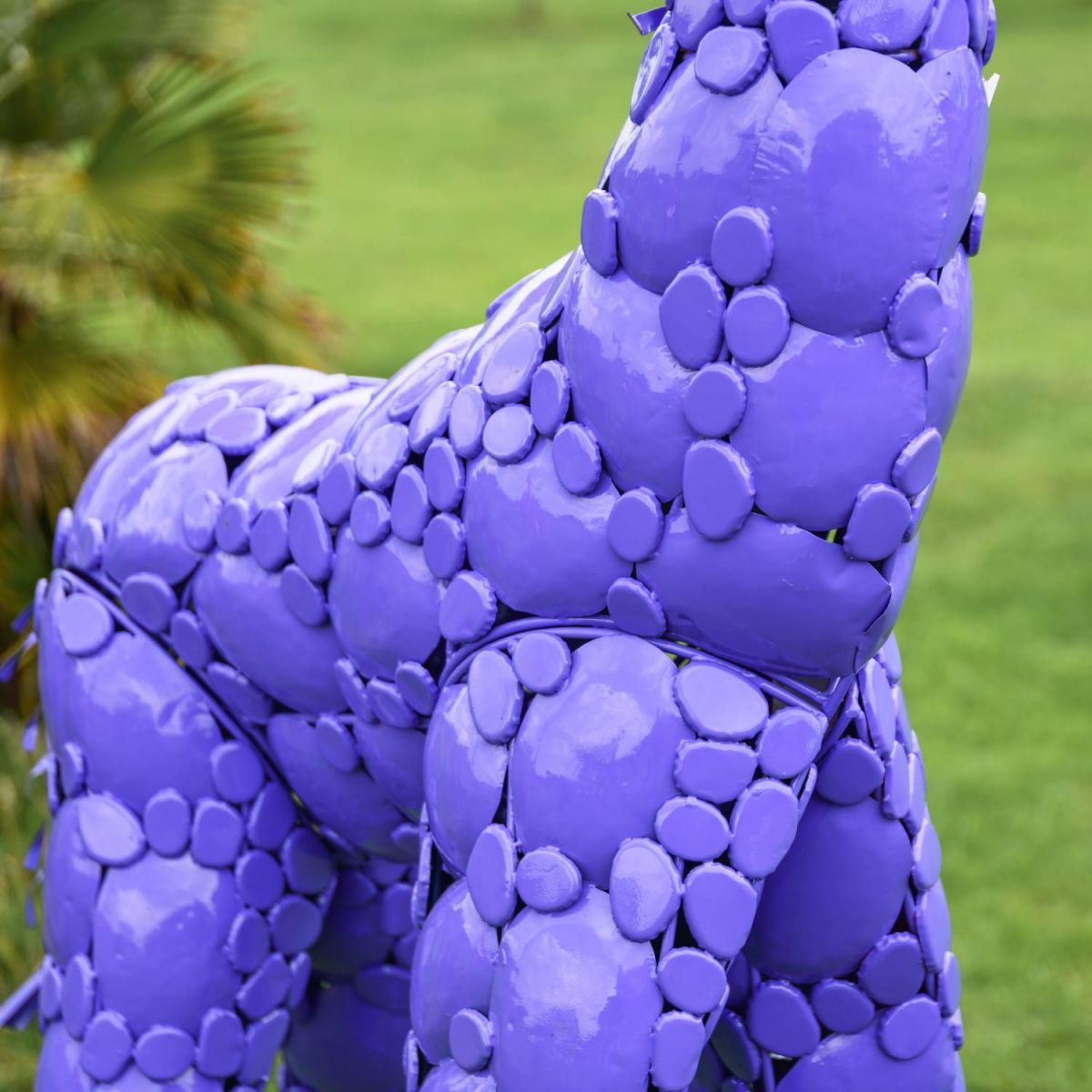 Close-Up of Purple Finish