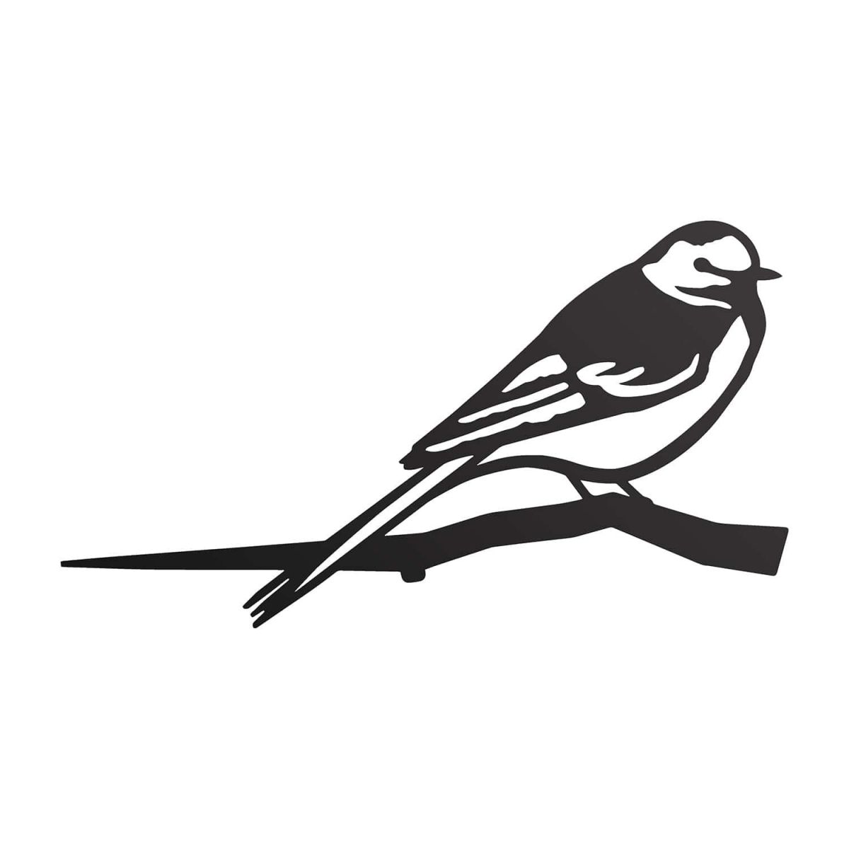 Close-Up of Steel Pied Wagtail Tree Spike - Black