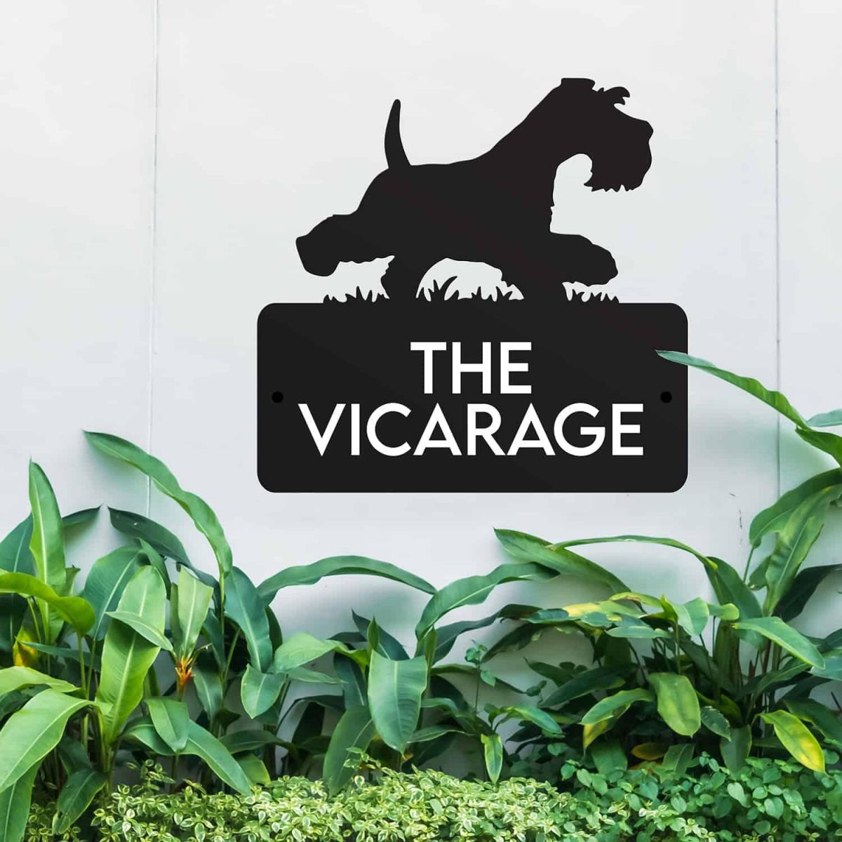  Steel House Name Sign with Running Miniature Schnauzer Motif