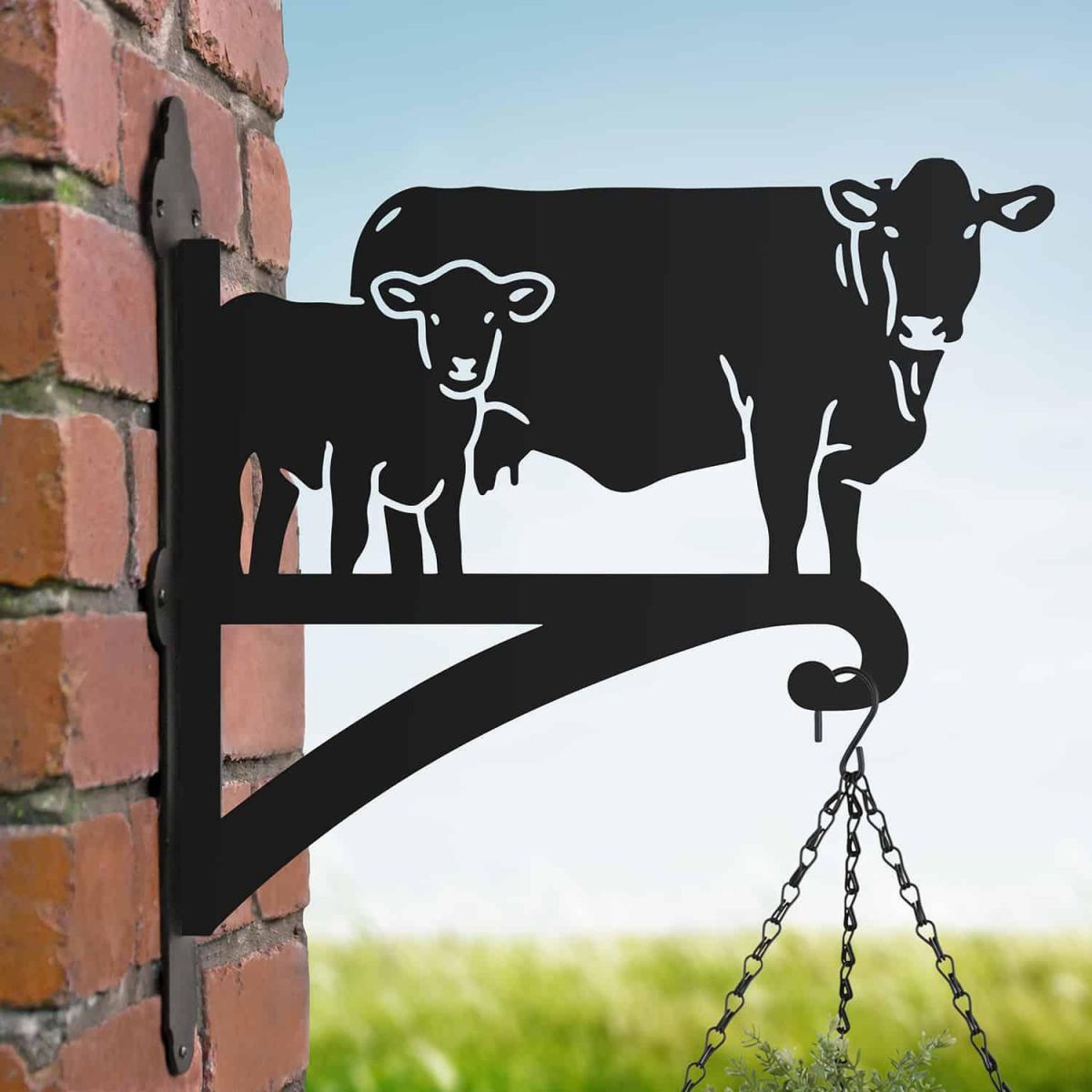 Steel South Devon & Calf Hanging Basket Bracket in Situ Steel South Devon & Calf Hanging Basket Bracket in Situ