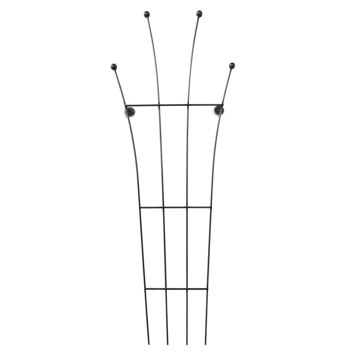 Wall Mounted Plant Trellis Created From Steel 