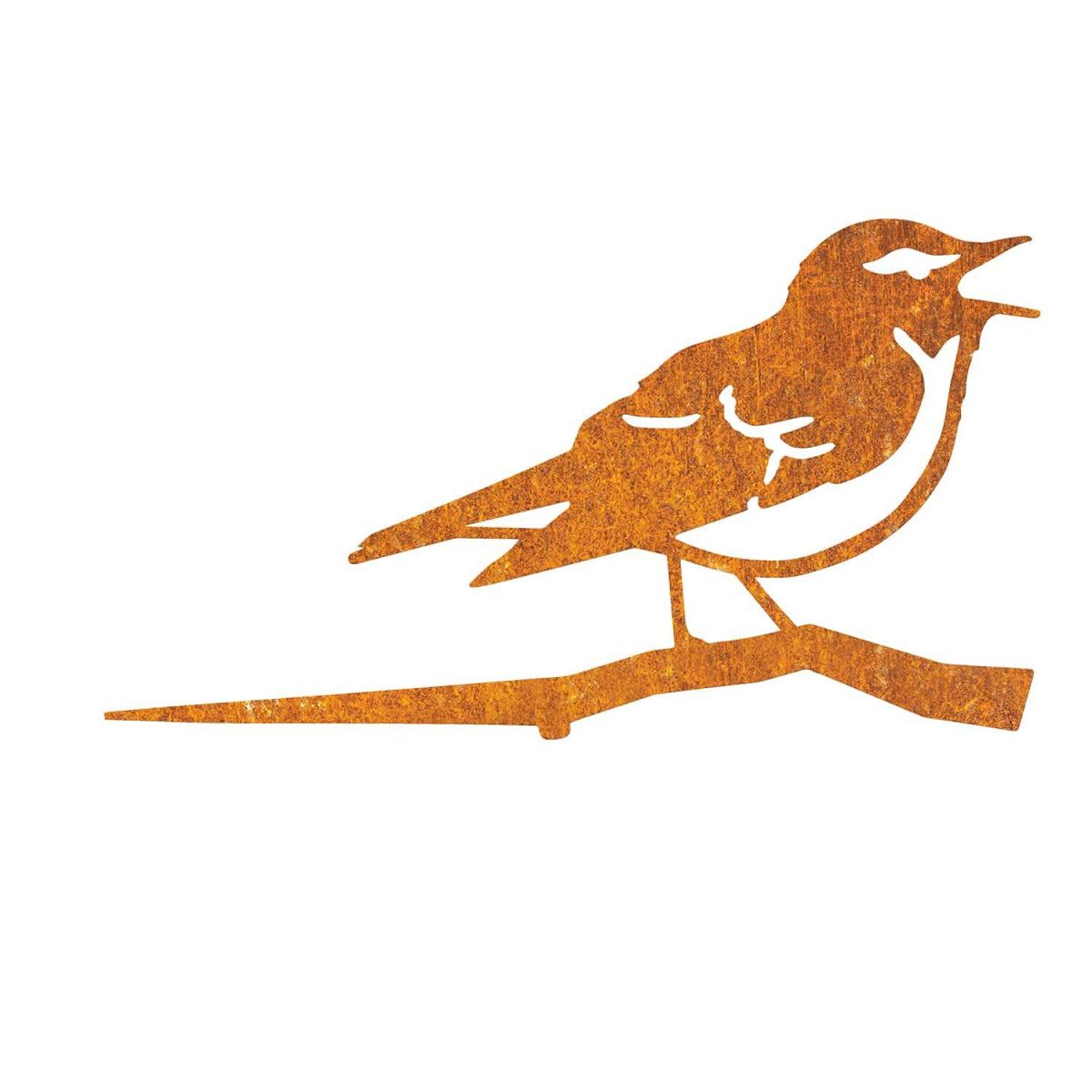 Close-Up of Steel Wood Warbler Tree Spike - Rustic