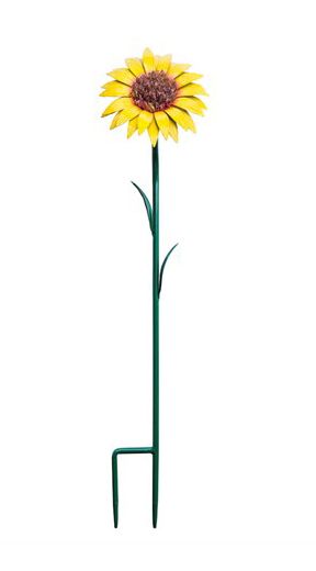 Sunflower Garden Flower Spike Sunflower Garden Flower Spike