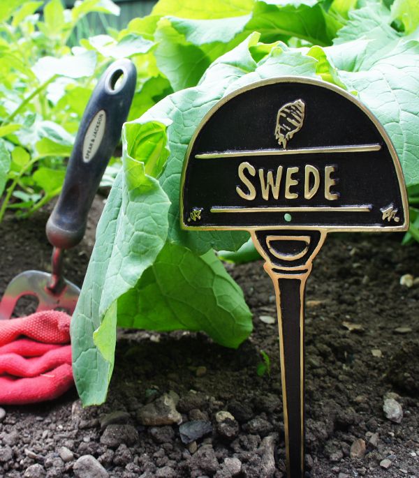 Vegetable Label - Swede Vegetable Label - Swede