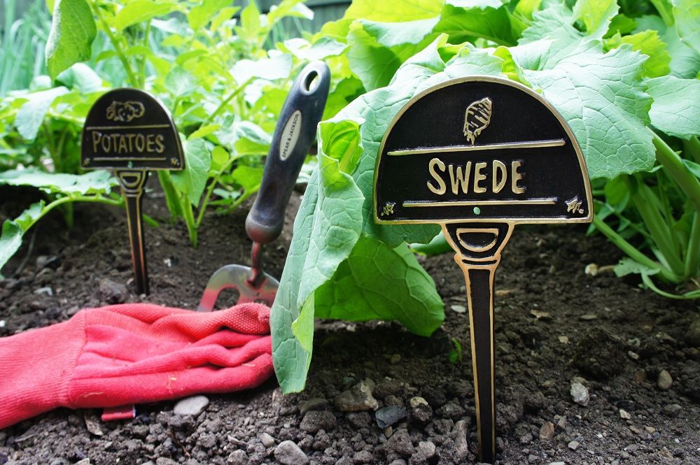 Vegetable Label - Swede Vegetable Label - Swede