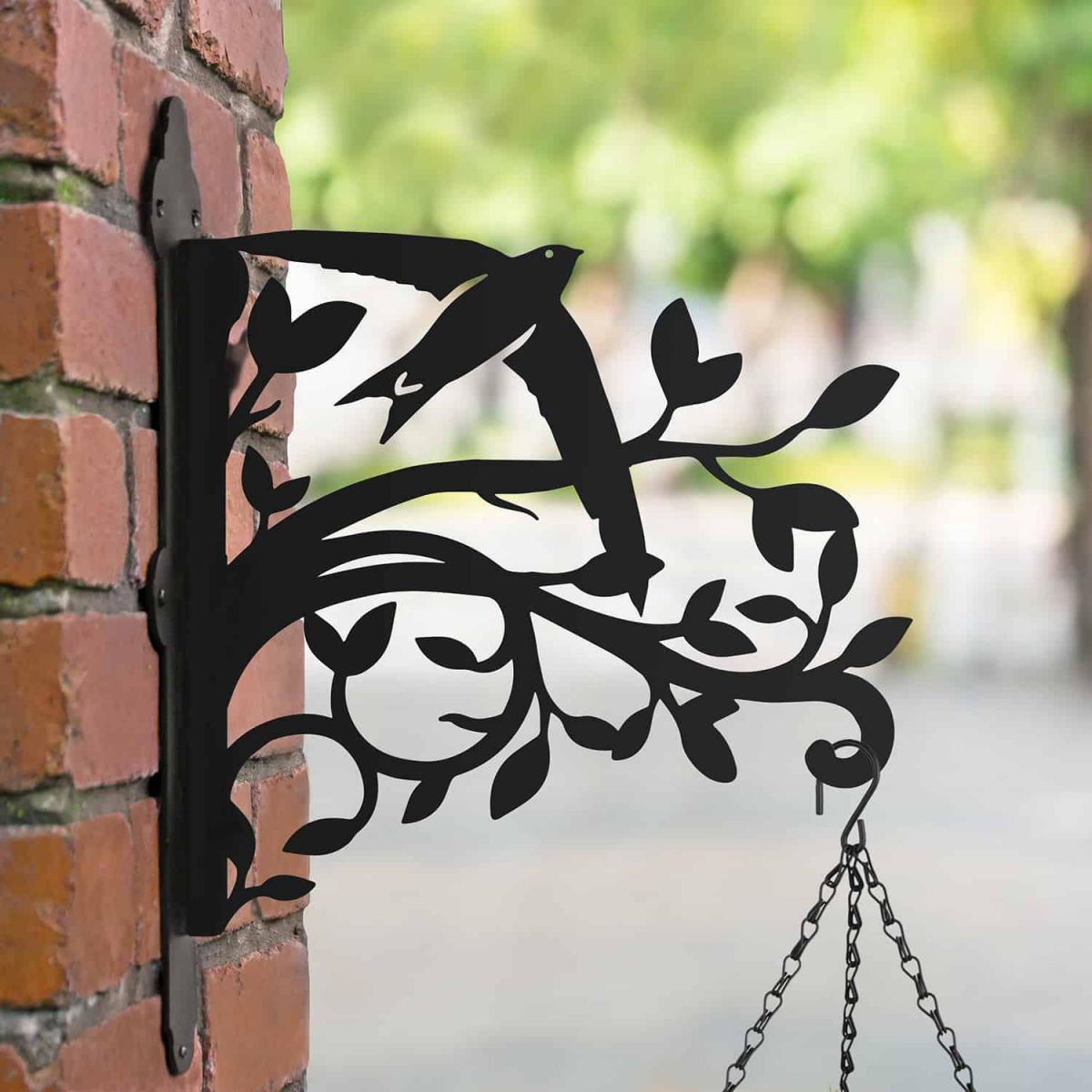 Swift on Branches Steel Hanging Basket Bracket in Situ