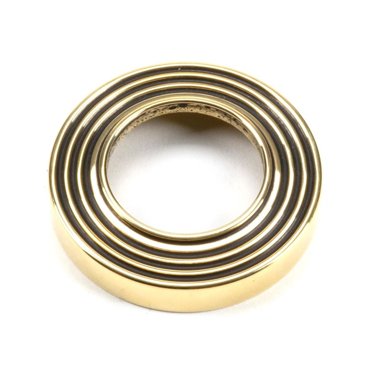 The Aged Brass Beehive Rose on a White Background 