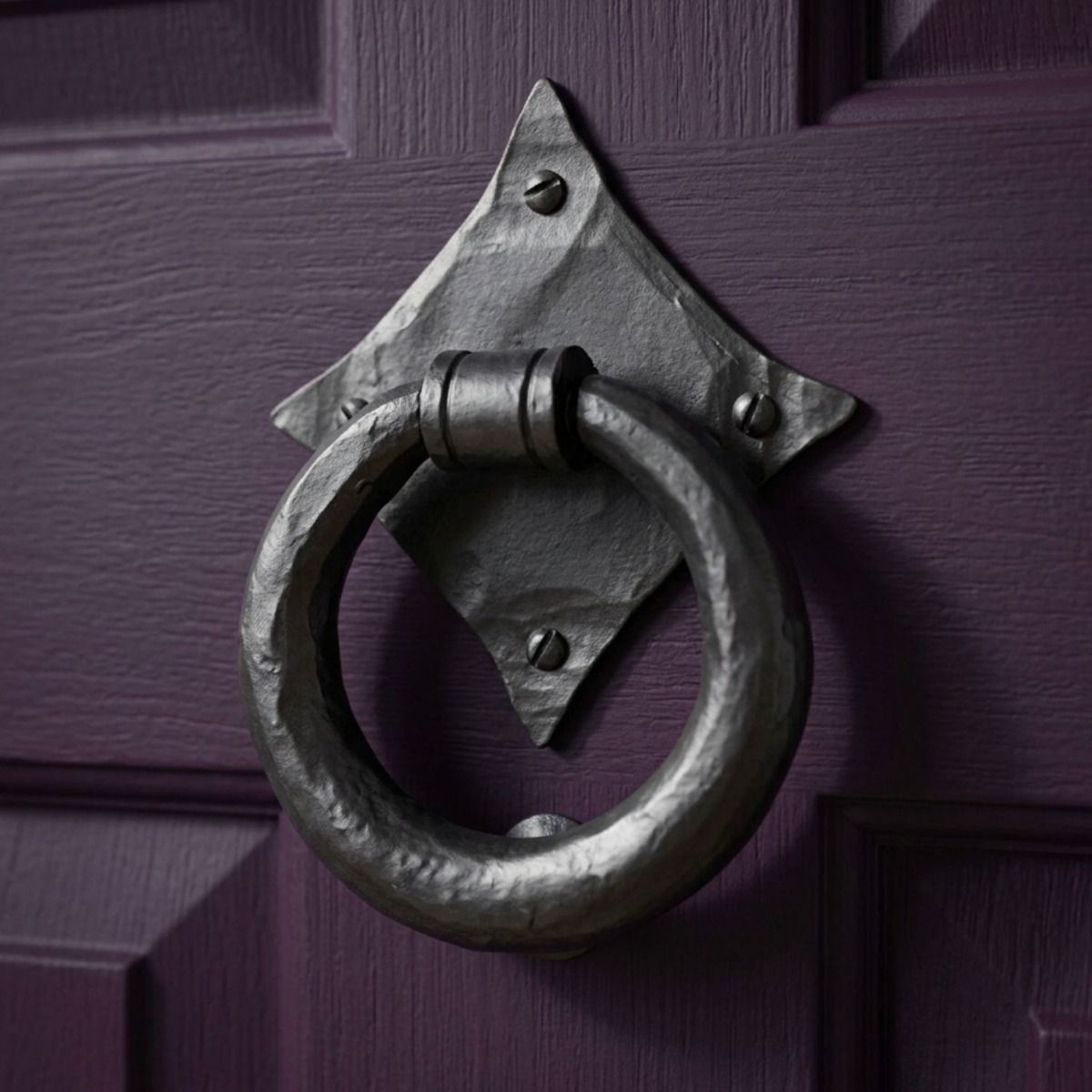 The "Lorien" Ring Door Knocker Shown Mounted on a Purple Front Door - Digital Illustration 