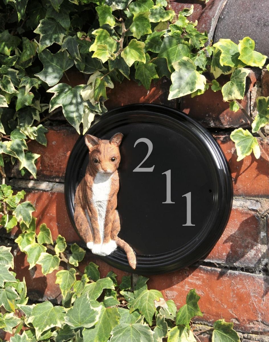 The "Marmalade" Hand Painted Thomas Cat House Sign Surrounded by Ivy on a House Wall - Digital Illustration 