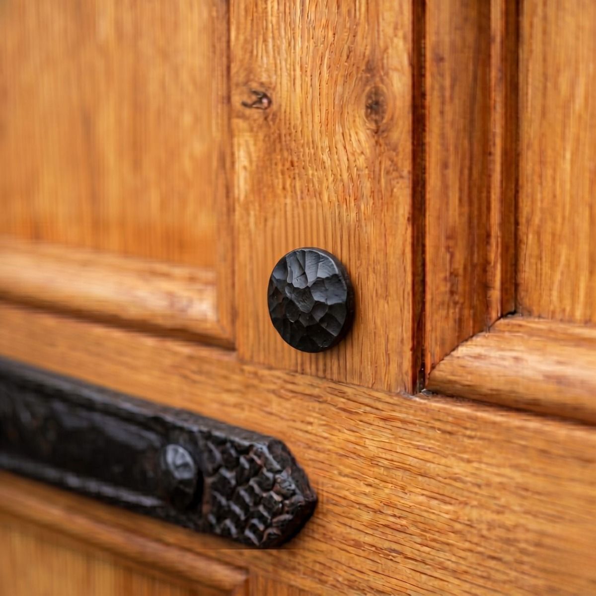 The 3" Handmade Nail Beeswax Nailed into a Heavy Wooden Door - Digital Illustration