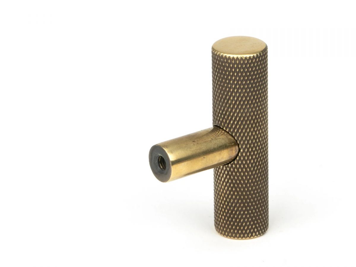 The Aged Brass "Astor" Knurled Industrial T-Bar Cabinet Fitting Shown on a White Background Displayed from Behind