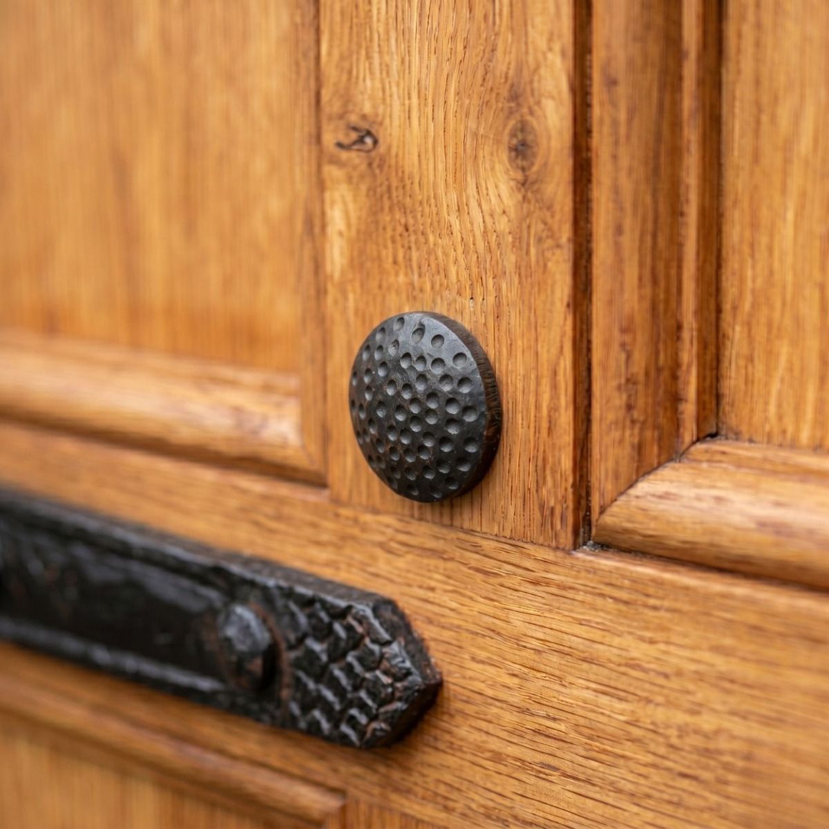 The Decorative Circular Door Stud Nailed into a Traditional Wooden Door - Digital Illustration