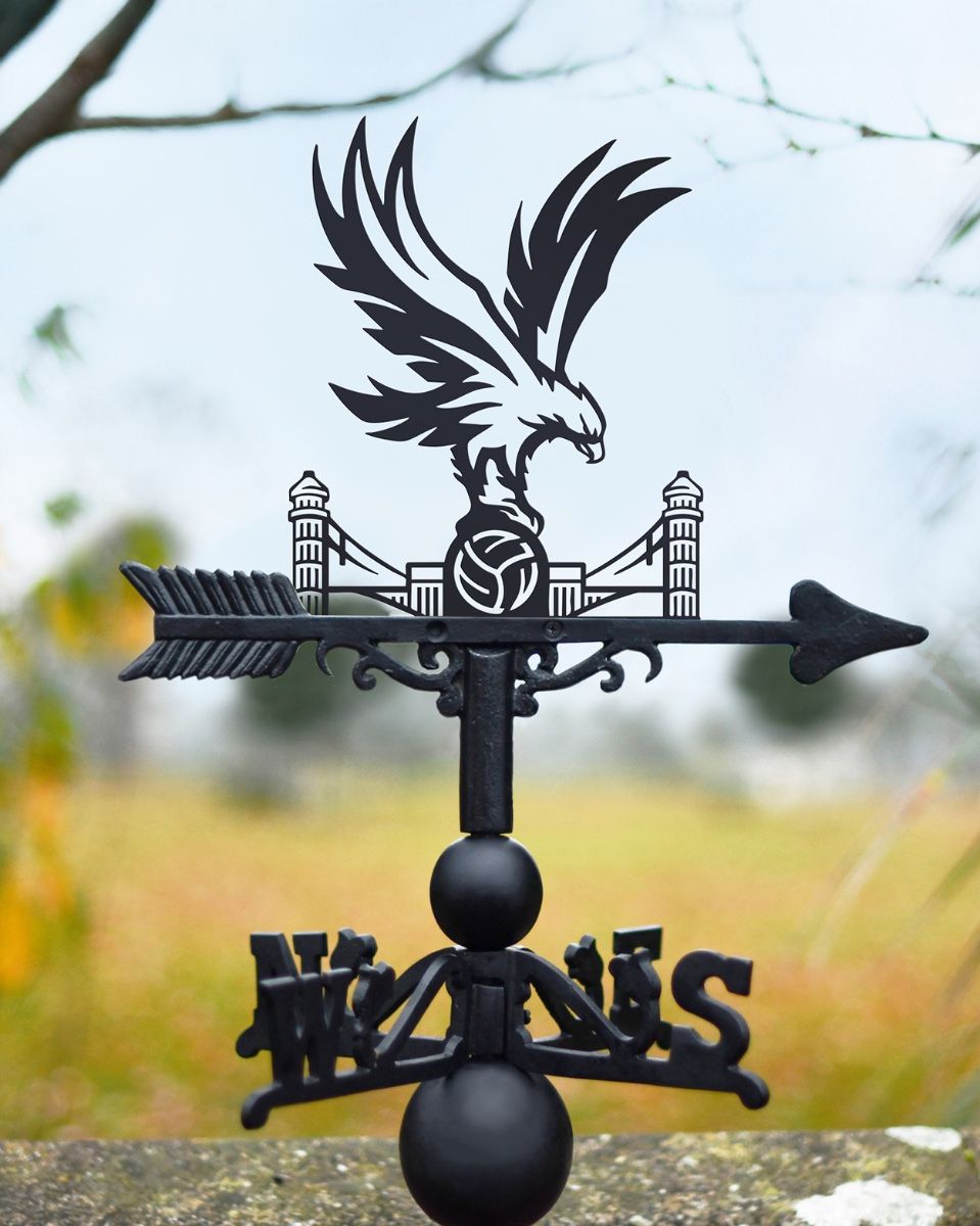 The Eagles Weathervane In Situ