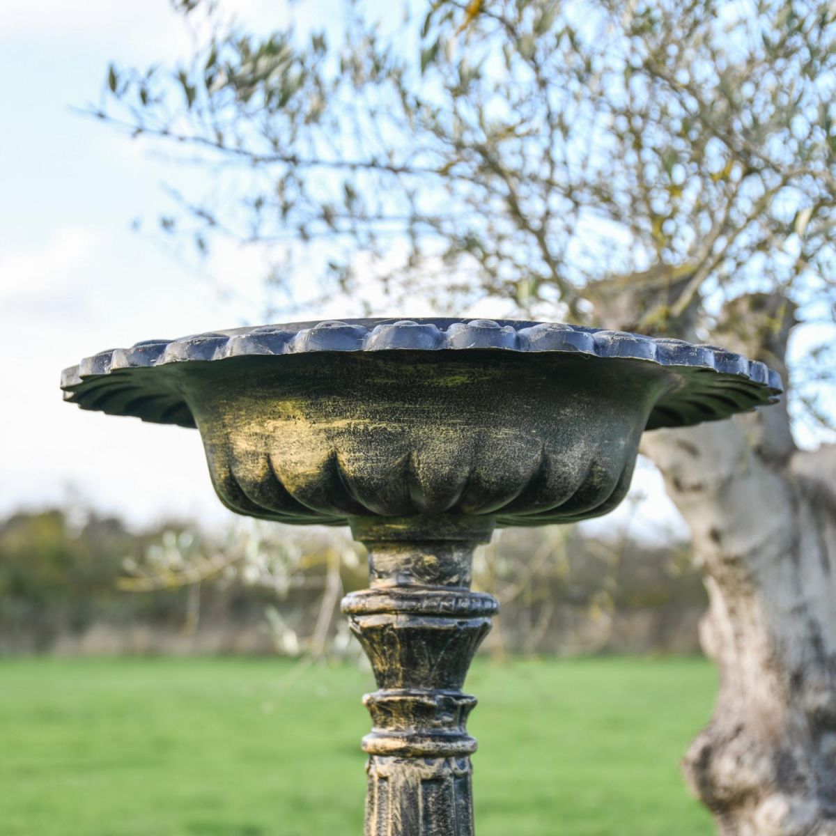 Close Up Of Brushed Gold "Floridus" Bird Bath Top