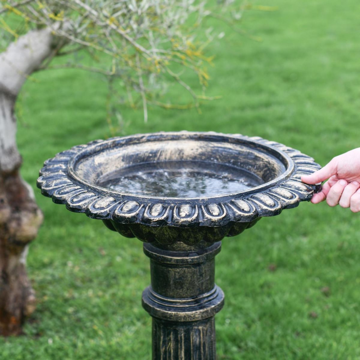 Scale Shot Of The "Fons" Bird Bath