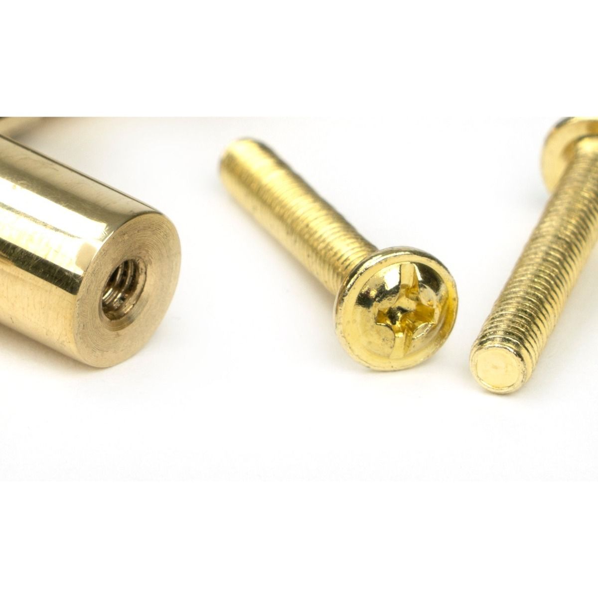 The Large Half Knurled Cabinet Pull Handle in Polished Brass Close up image of the Supplied Bolts