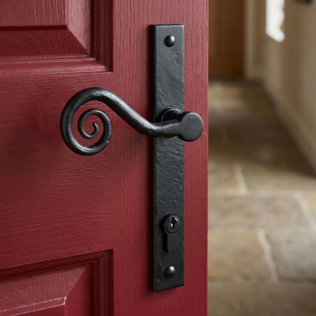 The Left Hand "Barbary" Black Slim Monkey tail Espagnolette Lock Set with Eurocylinder Hole on a Bright Red Door - Digital Illustration 