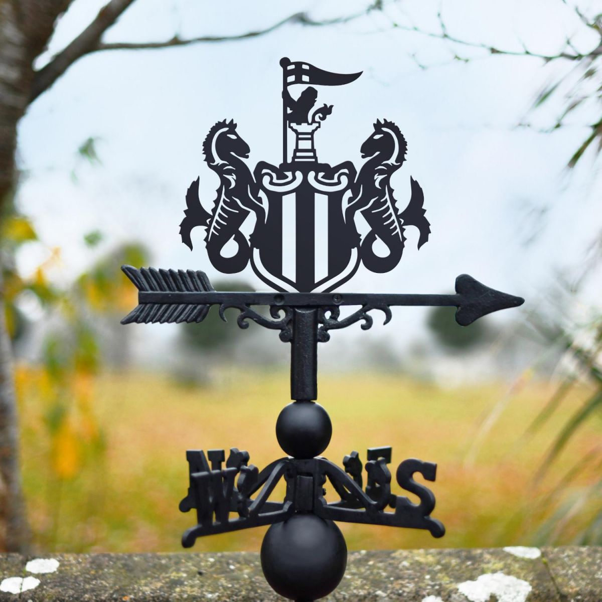 Cast Iron & Steel "The Magpies" Weathervane in Situ
