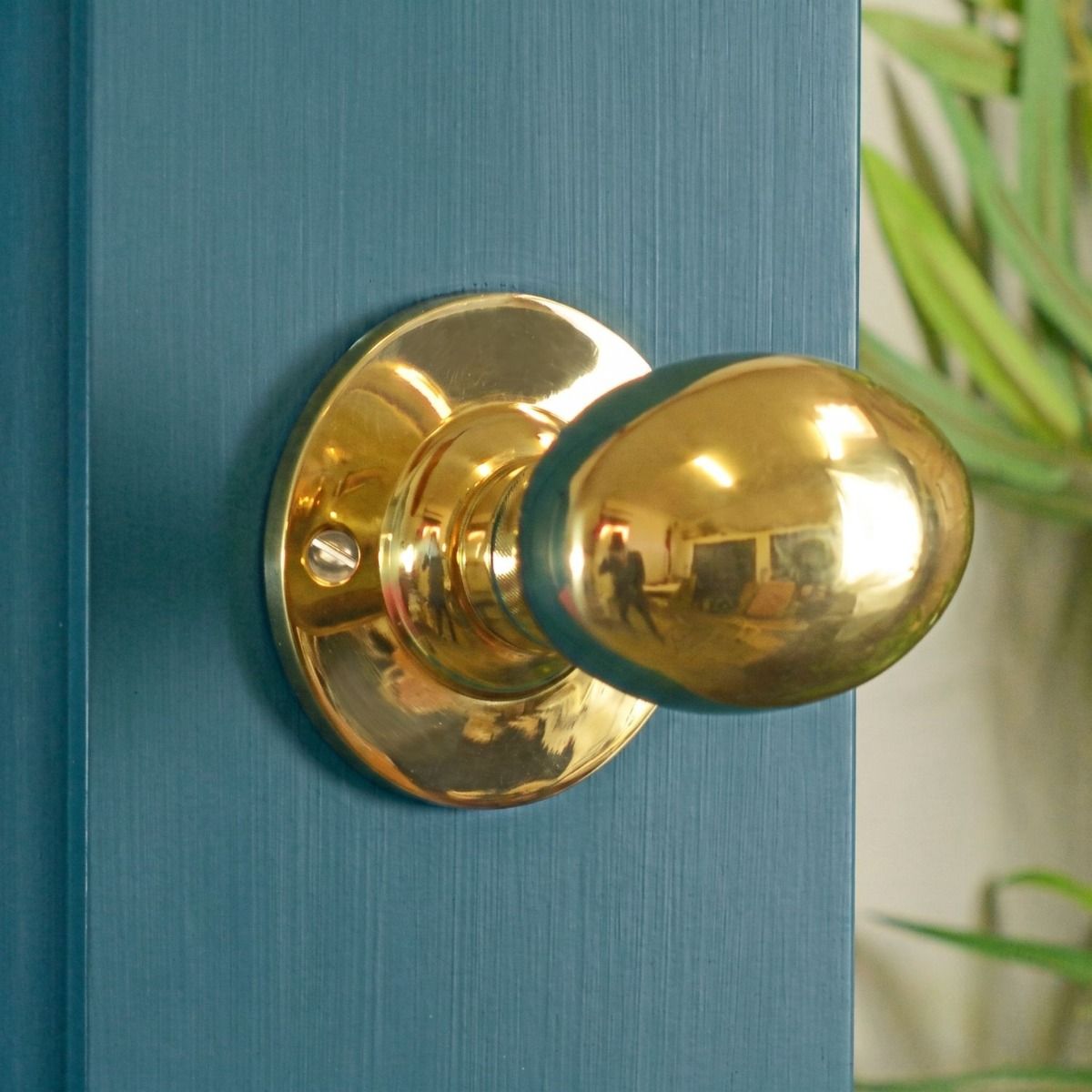 The Polished Brass Oval Door Knob Set on a Teal Coloured Interior Door - Digital Illustration 