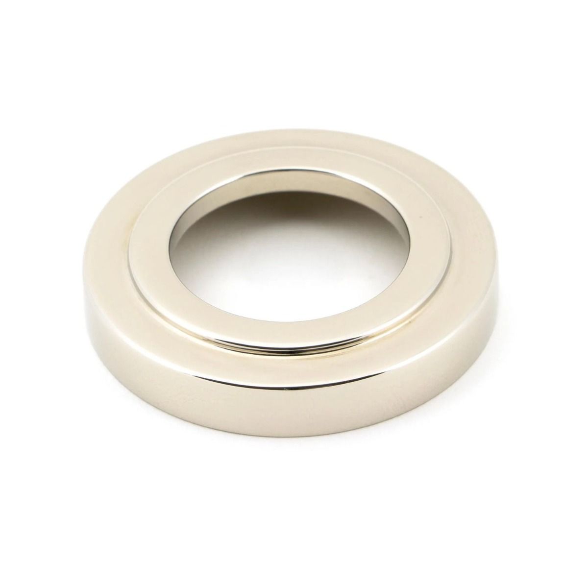 The Polished Nickel Art Deco Rose on a White Background 