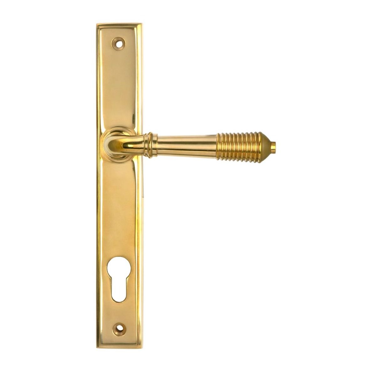 The Ribbed Slimline Exterior Door Handle in a Polished Brass Finish Showing the Front