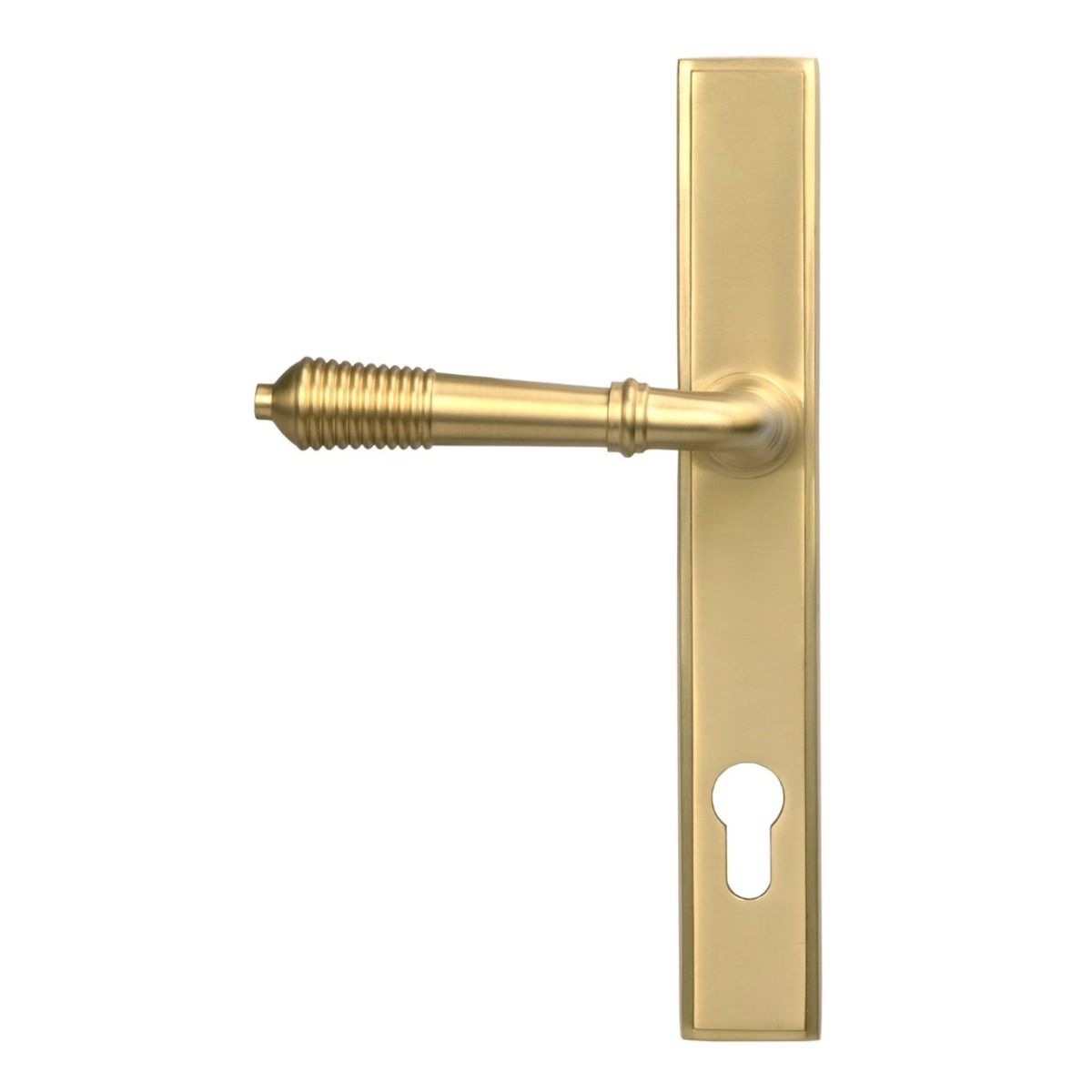 The Ribbed Slimline Exterior Door Handle in a Satin Brass Finish on a White Background Shown from the Back 