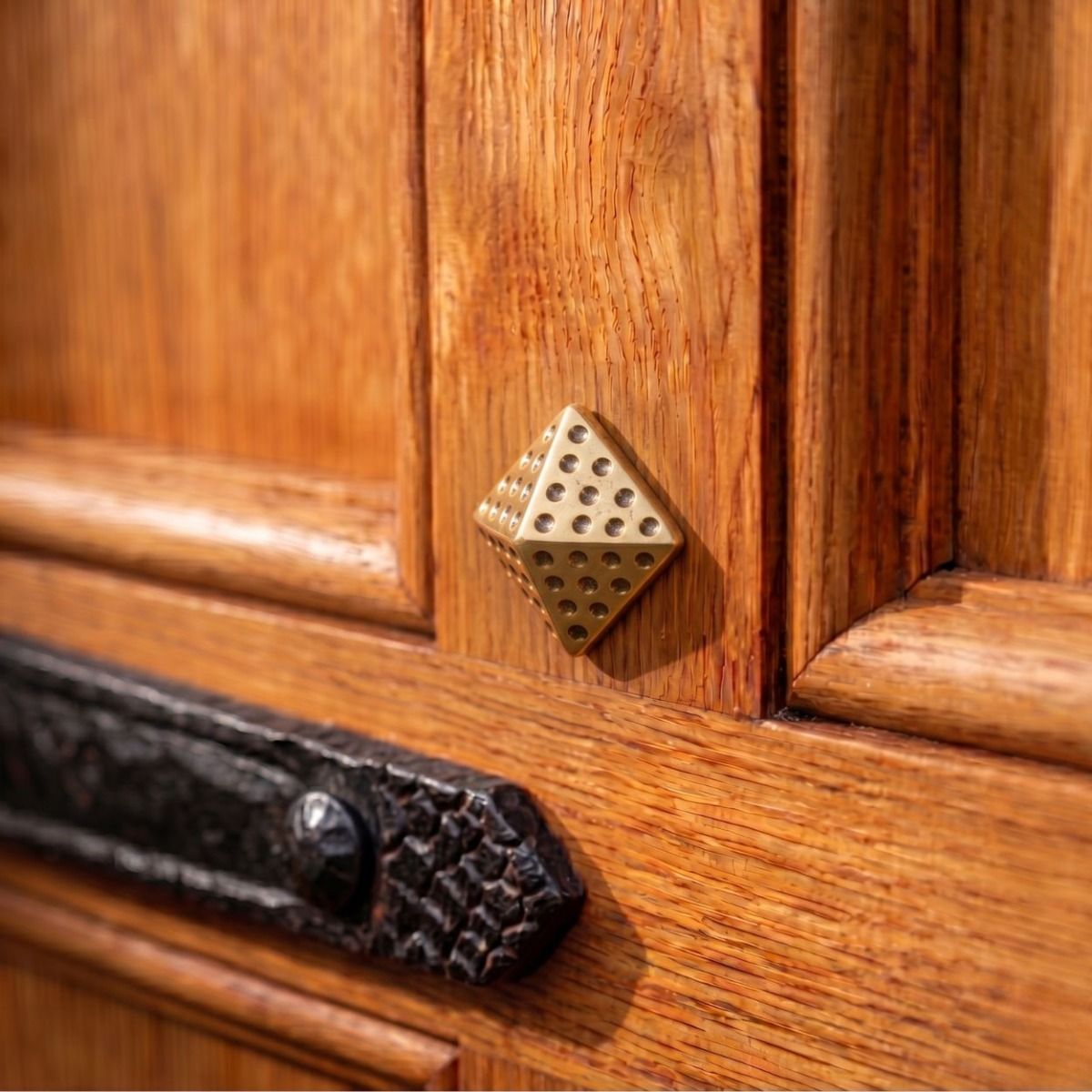 The Studded Solid Brass Door stud in a Polished Brass Finish Nailed into a Wooden Door - Digital Illustration 