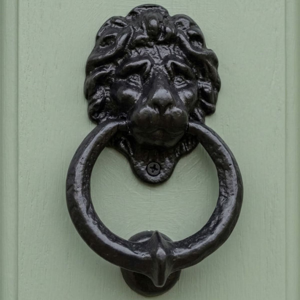 The Traditional Black Iron Lion Door Knocker on a Light Green Door Shown at an Angle - Digital Illustration