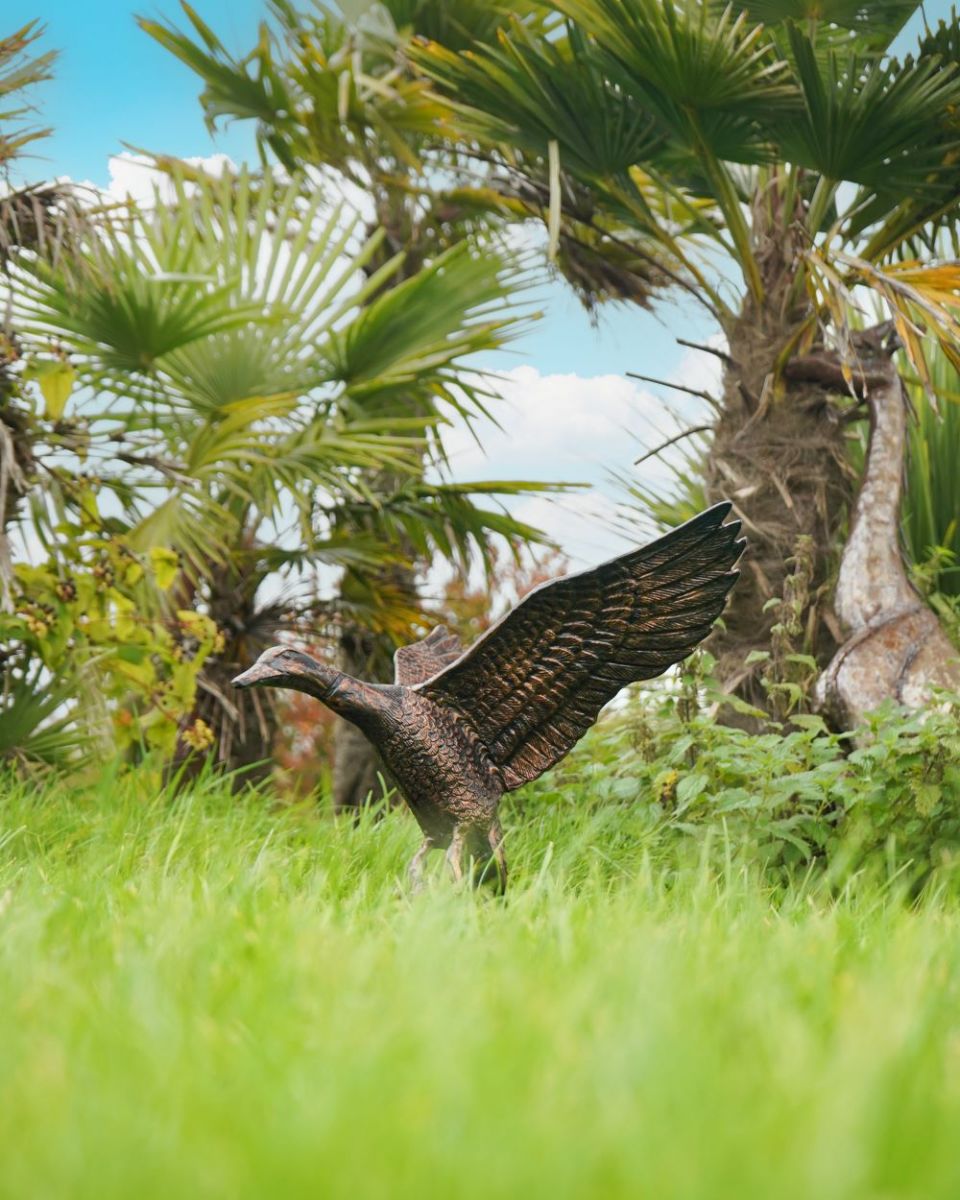 Low angle three quarter view of Bronze Volans Flying Duck Sculpture
