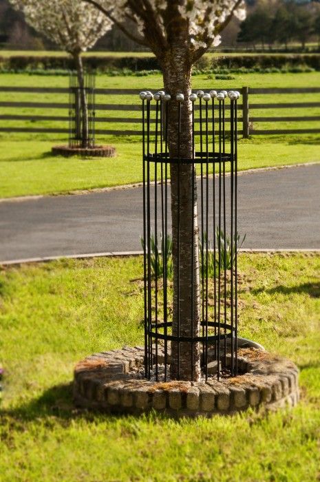 “Titan” Tree Guards - Silver