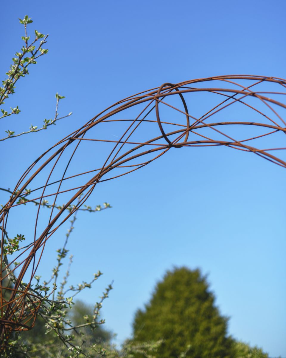 Close-up of the Rustci Design on the Top of the Rose Arch Close-up of the Rustci Design on the Top of the Rose Arch