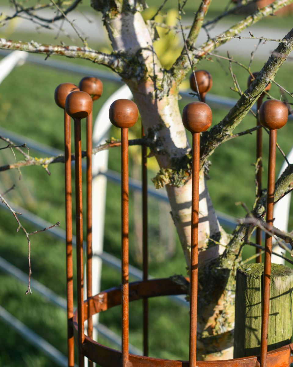 top Of The Wrought Iron Traditional "Fernhill" Rustic Tree Guard