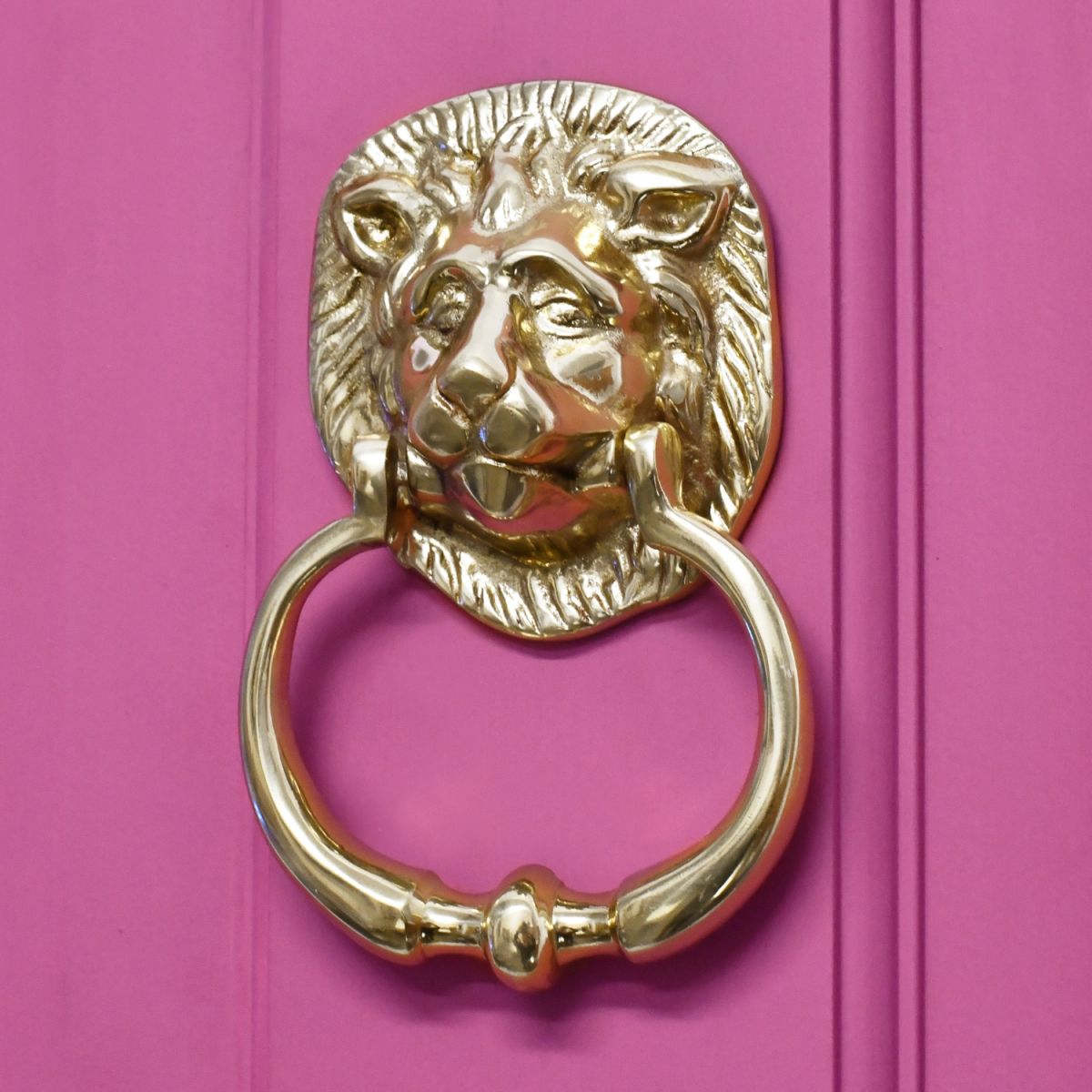 Traditional Polished Brass Lion Door Knocker in Situ on a Pink Door
