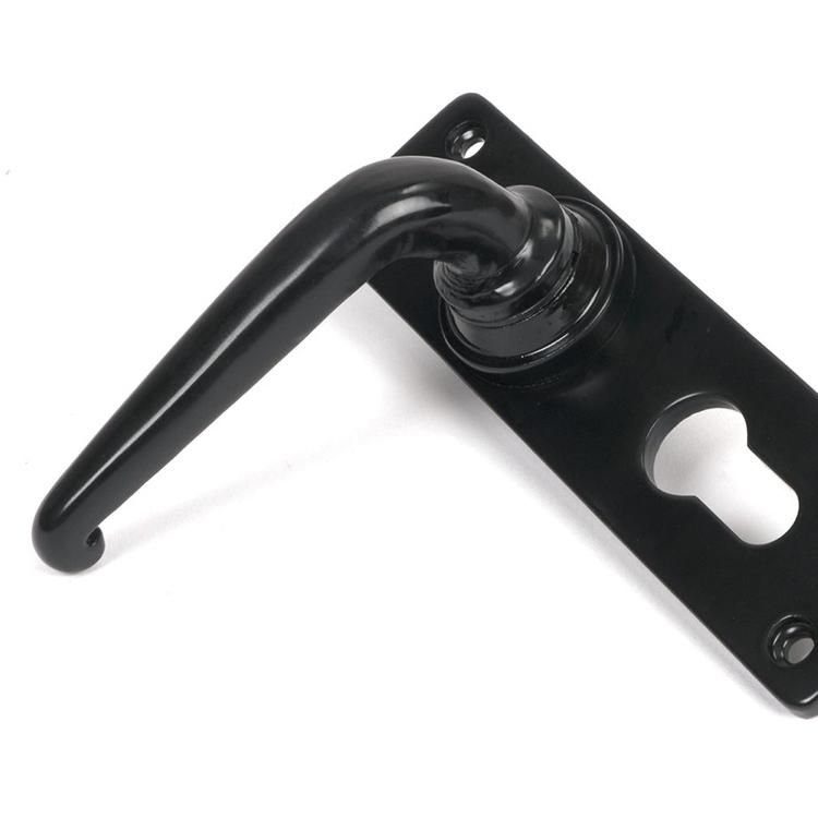 Close-Up of Left Hand Traditional Smooth Black Lever Euro Lock Door Handle