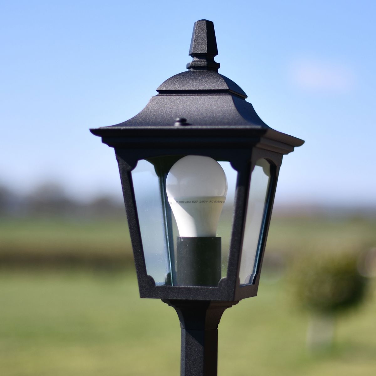 Close-up of Head of the Pillar Light
